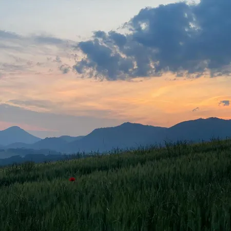 Tatralake With Barrel Sauna - Pri Mare بيت للعطل *