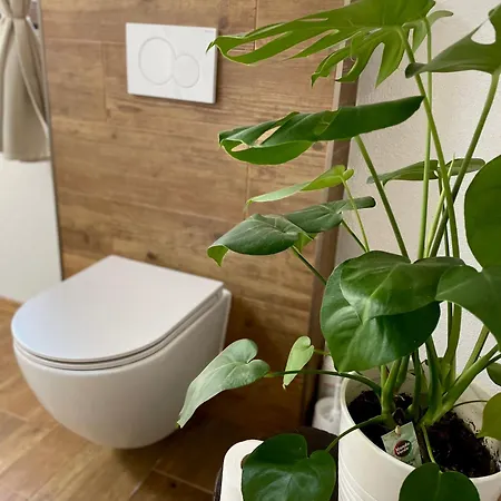 Tatralake With Barrel Sauna - Pri Mare