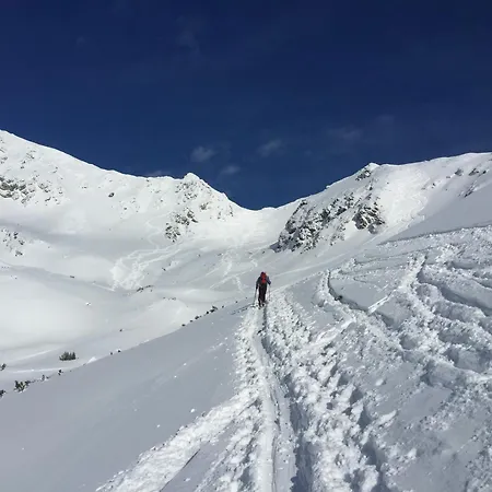 Semesterbostad Tatralake With Barrel Sauna - Pri Mare *